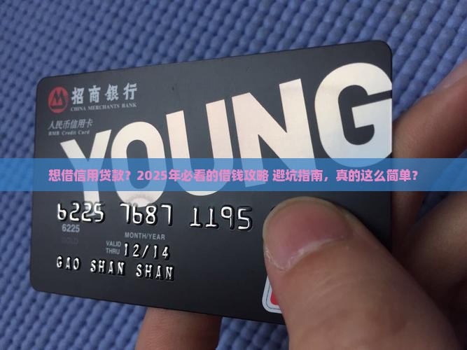 如何才能借出信用贷款呢