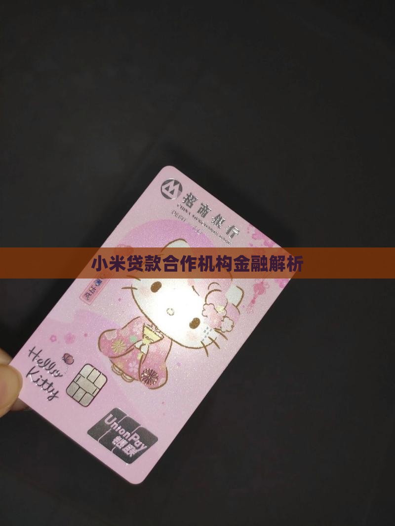小米贷款里的合作机构