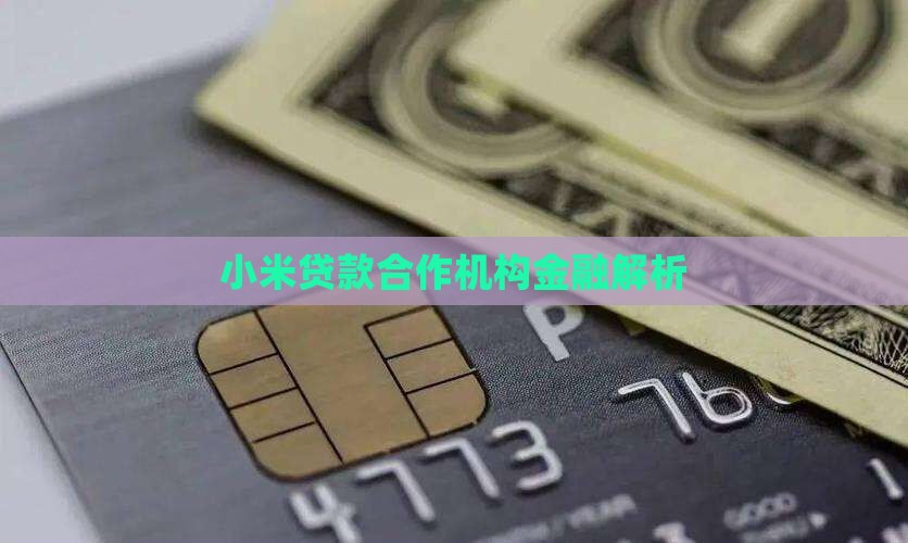 小米贷款里的合作机构