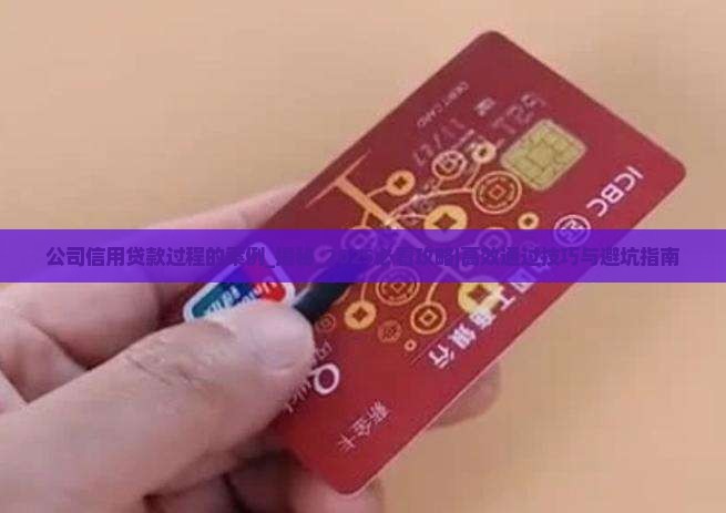 公司信用贷款过程的案例