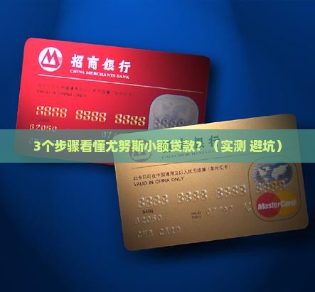 尤努斯小额贷款