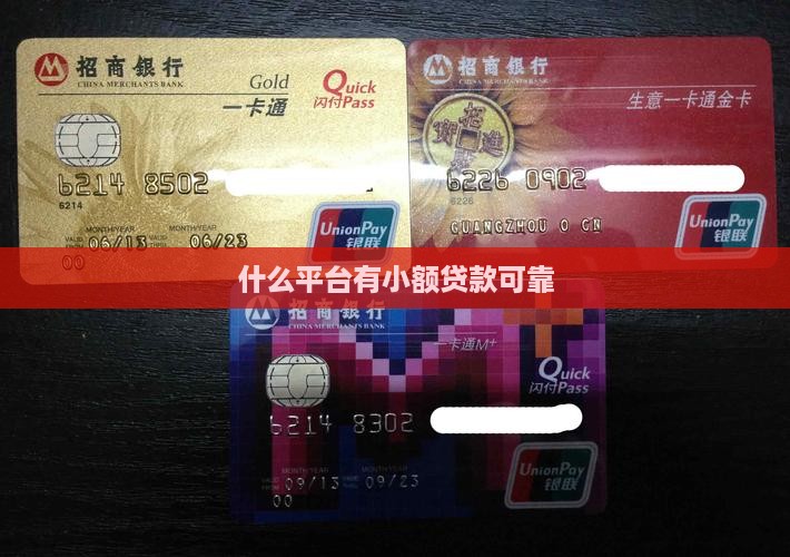 什么平台有小额贷款可靠
