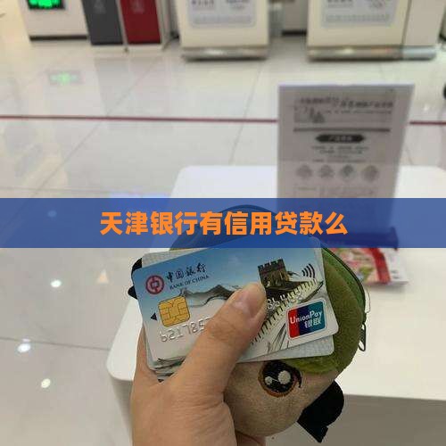 天津银行有信用贷款么