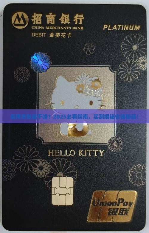 信用贷款用于