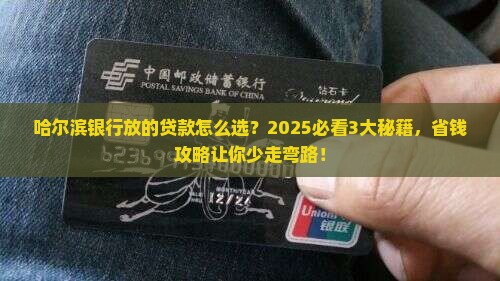 哈尔滨银行放的贷款