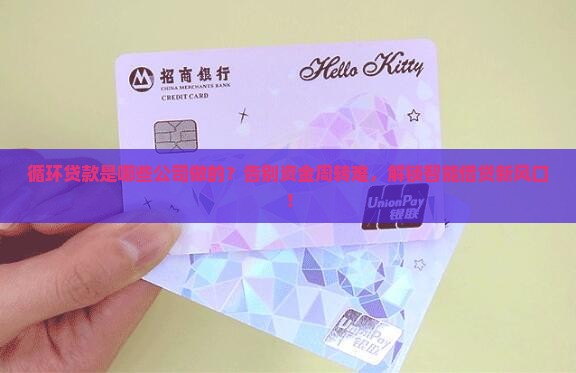循环贷款是哪些公司的
