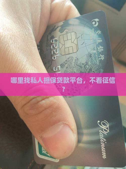 怎么找私人担保贷款平台