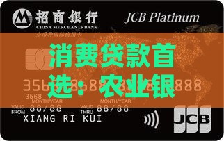 农业银行的个人消费贷款