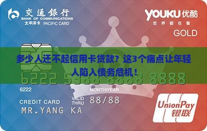多少人还不起信用卡贷款