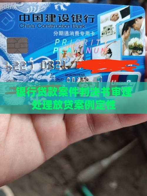 套取银行贷款案件