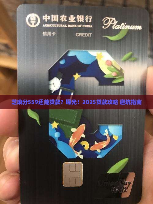 芝麻分559怎么贷款