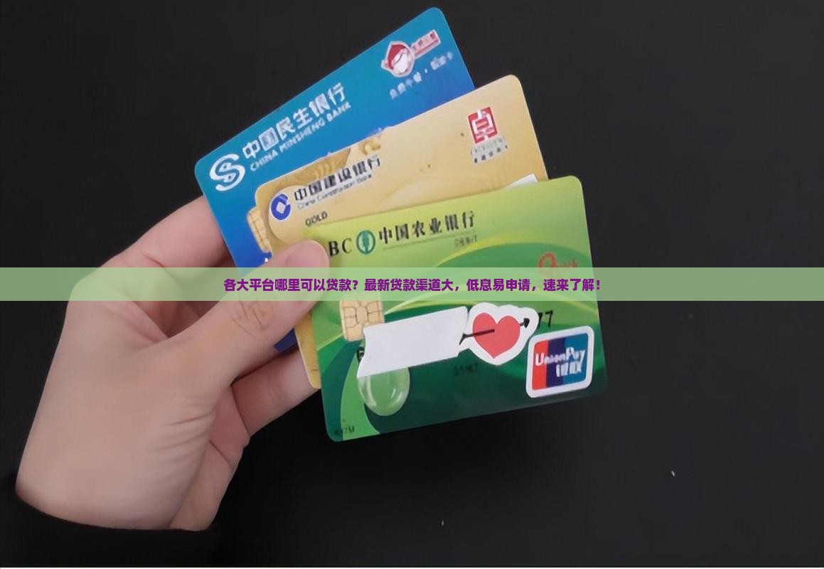 各大平台哪里可以贷款