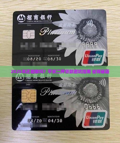 平安普惠二押贷款能做么