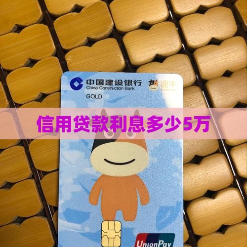 信用贷款利息5万