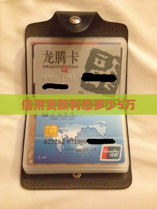 信用贷款利息5万