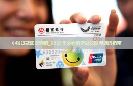 小额贷款哪些能借