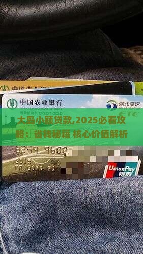 大岛小额贷款