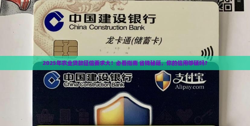 农业个人贷款征信要求