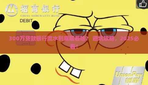 300万贷款银行流水