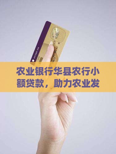 华县农行小额贷款