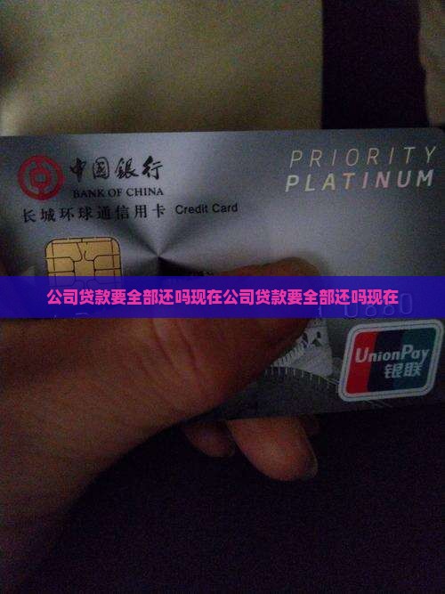 公司贷款要全部还吗现在