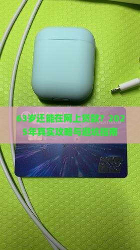 63岁了能在网上贷款吗
