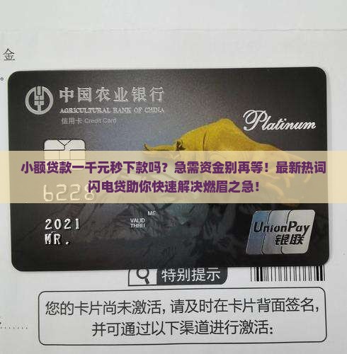 小额贷款一千元秒下款吗