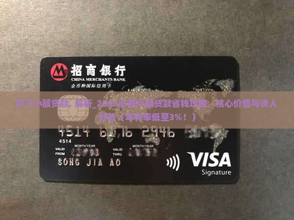 办了小额贷款