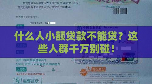 什么人小额贷款不能贷