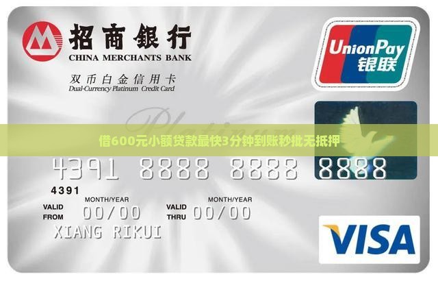 借600元小额贷款