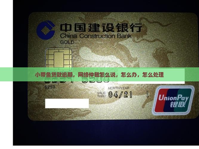 小带鱼贷款说网络仲裁