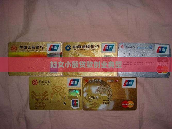 妇女小额贷款创业典型