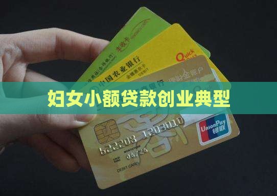 妇女小额贷款创业典型
