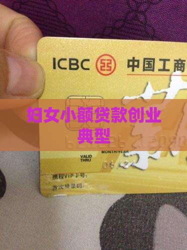 妇女小额贷款创业典型