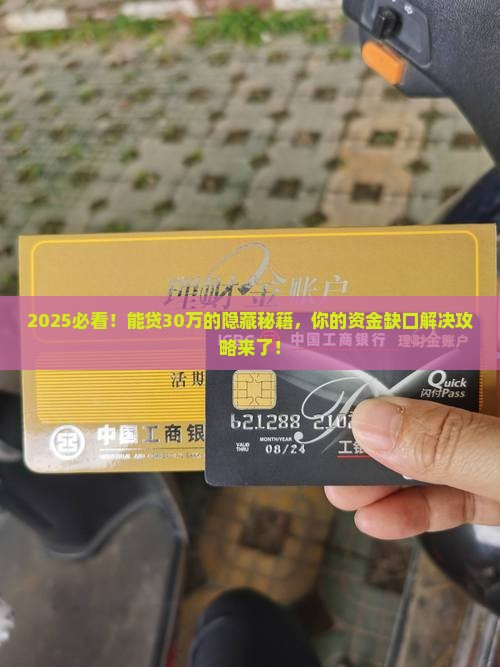可以贷款30万的口子