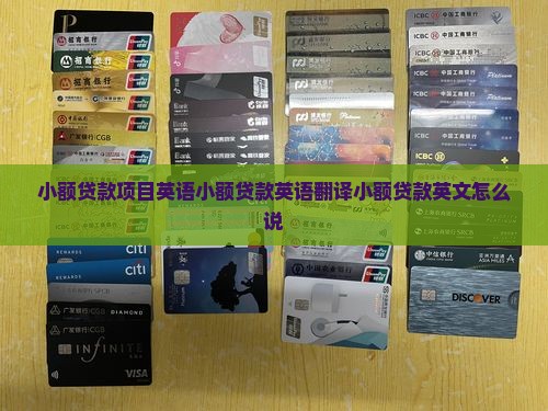 小额贷款项目英语