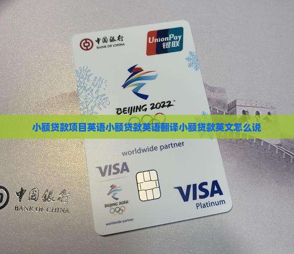 小额贷款项目英语