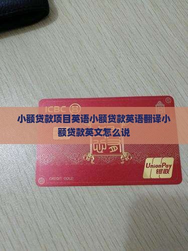 小额贷款项目英语