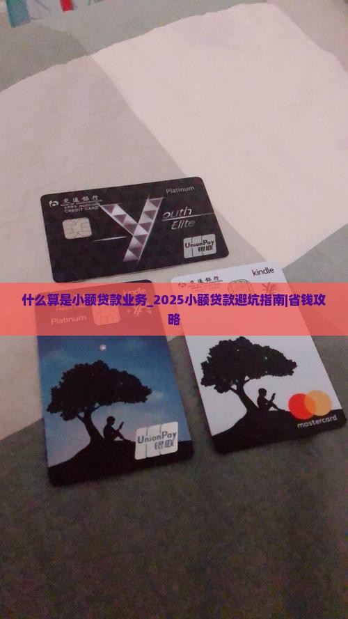 什么算是小额贷款业务