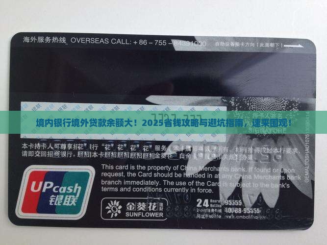 境内银行境外贷款余额