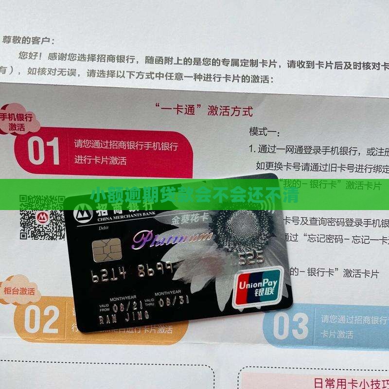 小额贷款会不会还不清 小额贷款会不会还不清