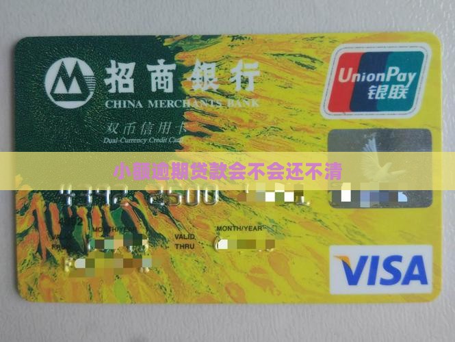 小额贷款会不会还不清 小额贷款会不会还不清