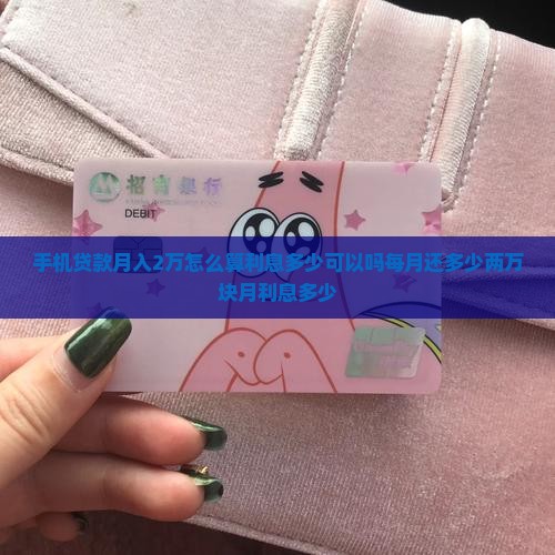 手机贷款月入2万