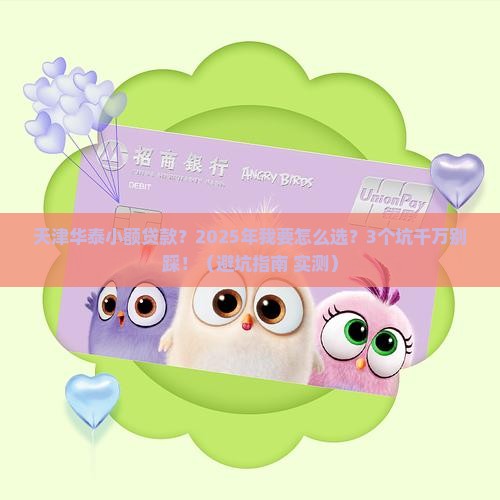 天津华泰小额贷款