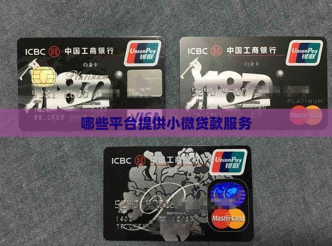 哪些平台有小微贷款服务