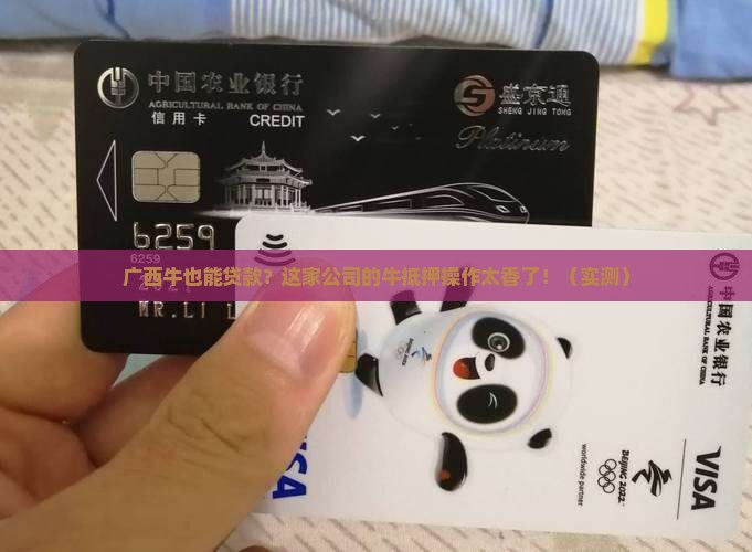 广西用活牛抵押贷款公司