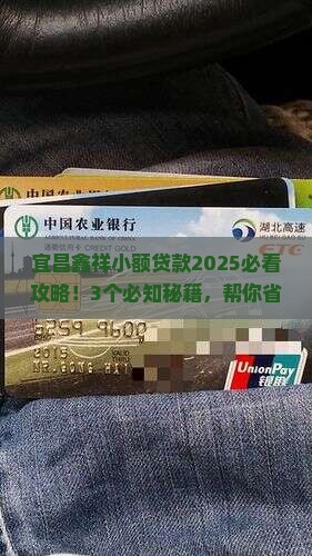 宜昌鑫祥小额贷款