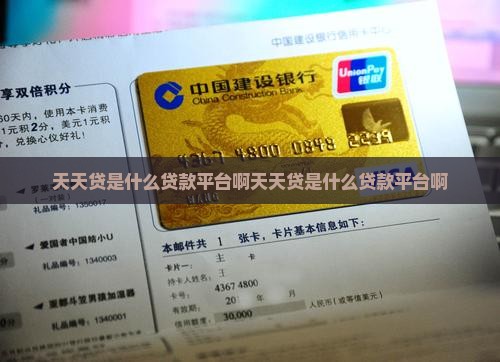 天天贷是什么贷款平台啊