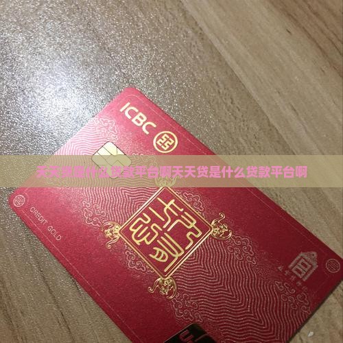 天天贷是什么贷款平台啊