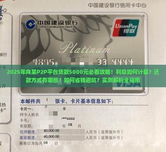 向某p2p平台贷款5000元